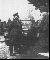 Image for The Mass Surrender of German Troops to the 347th Infantry Regiment on May 6, 1945 - Pt II