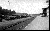 Image for The Mass Surrender of German Troops to the 347th Infantry Regiment on May 6, 1945 - Pt II