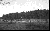 Image for The Mass Surrender of German Troops to the 347th Infantry Regiment on May 6, 1945 - Pt II